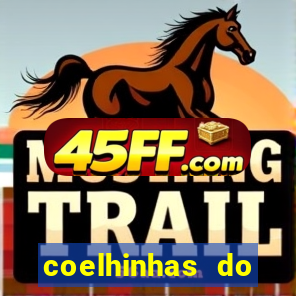 coelhinhas do brasil jp